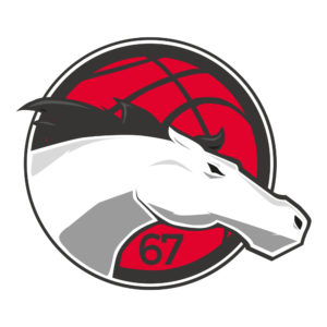 Leicester Riders logo